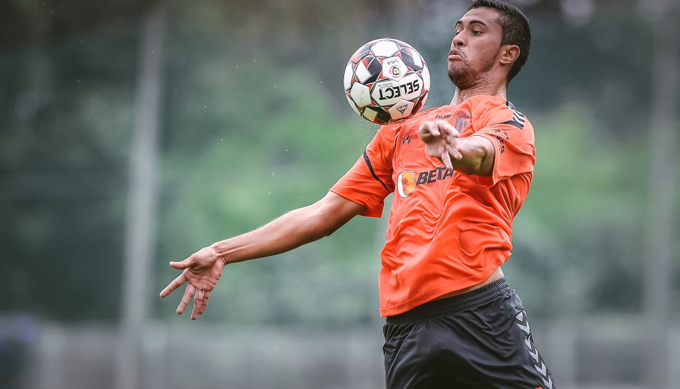 Stojiljkovic e Eduardo no plantel 15