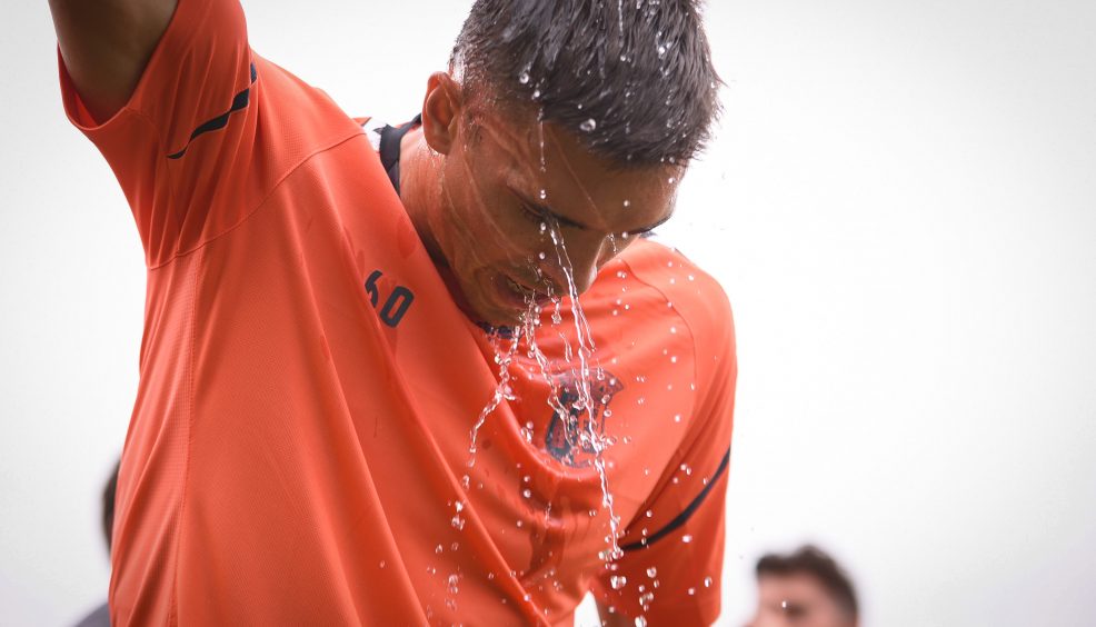 Rascunho automático 237