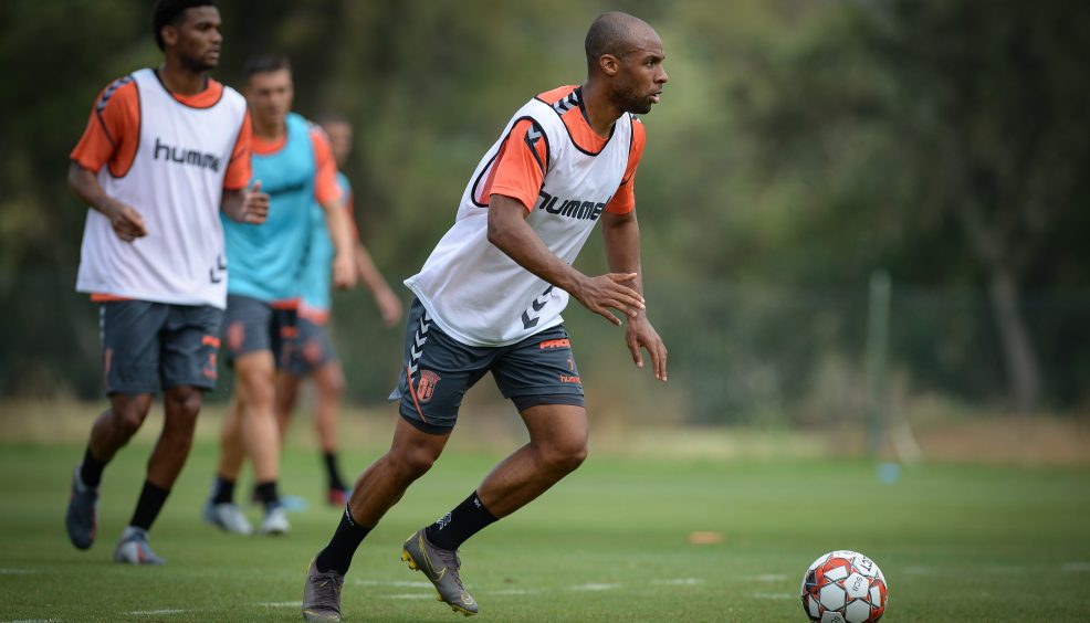 Rascunho automático 240