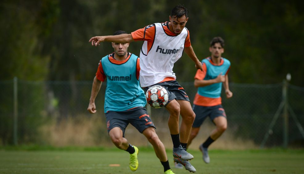 Rascunho automático 241