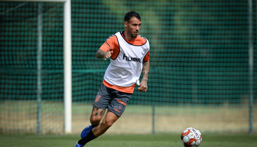 Rascunho automático 244