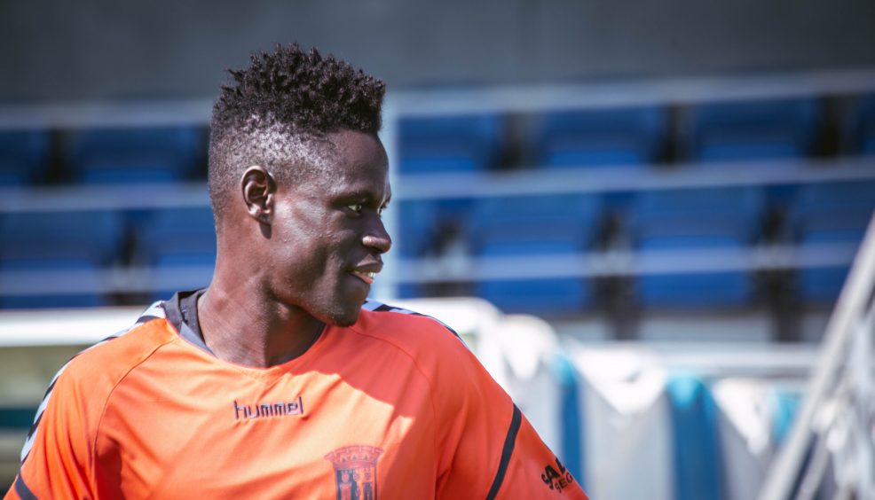 Rascunho automático 342