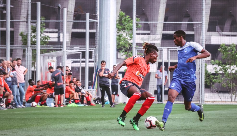 Rascunho automático 256