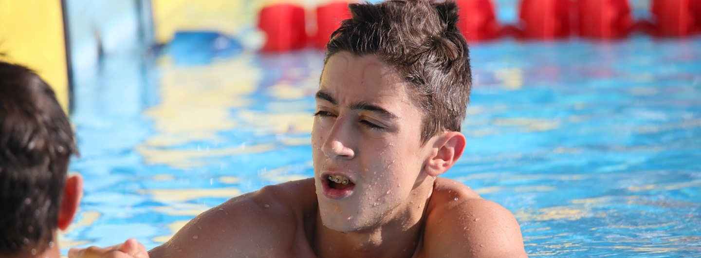 Rascunho automático 485