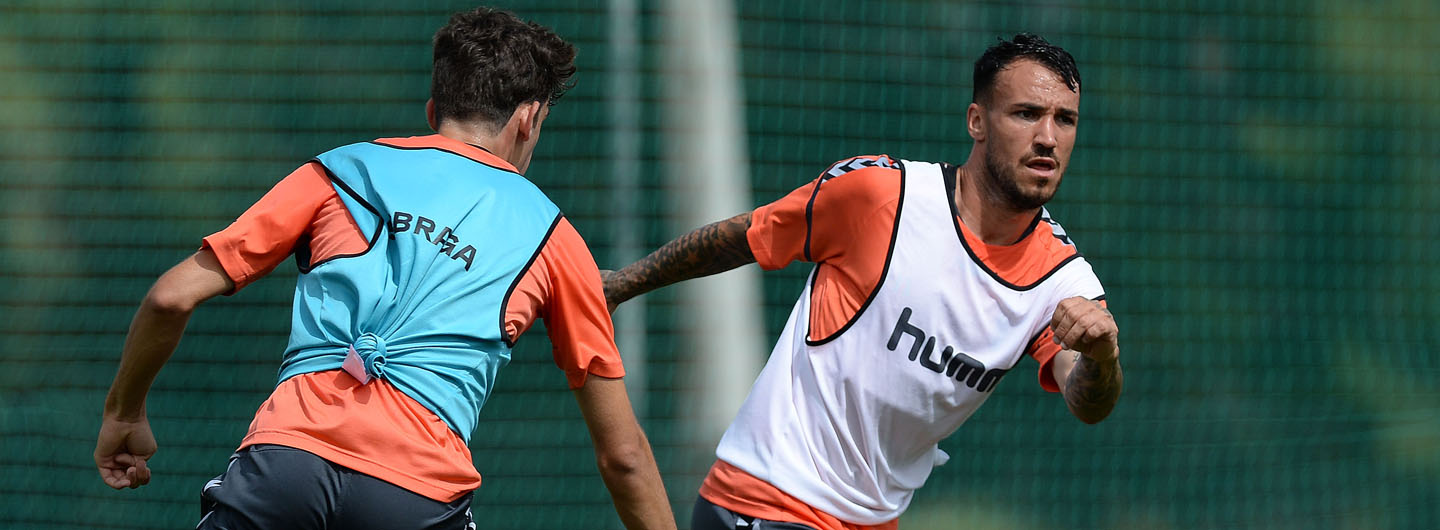 Rascunho automático 309