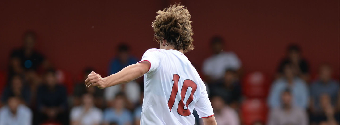 Rascunho automático 782