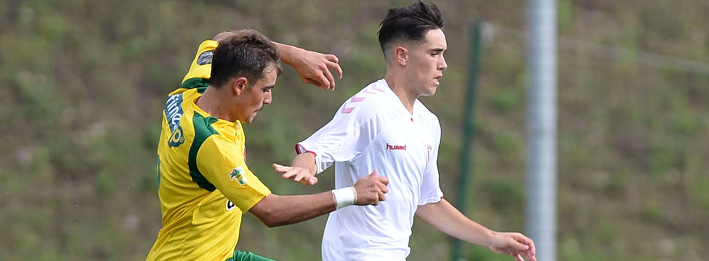 Rascunho automático 666