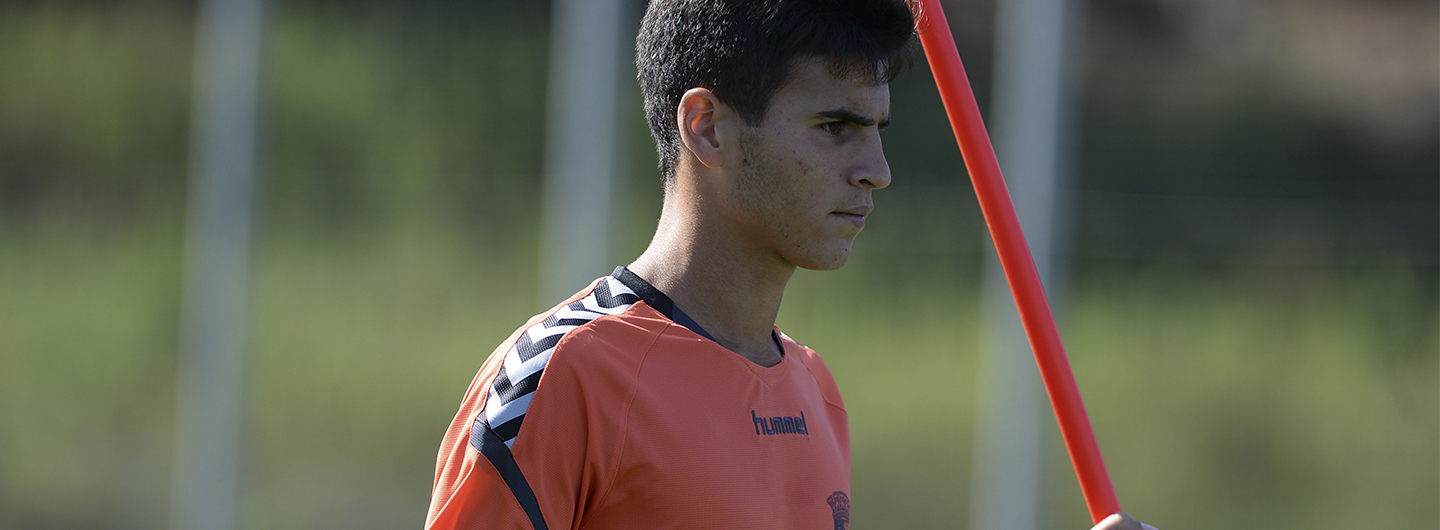 Rascunho automático 819