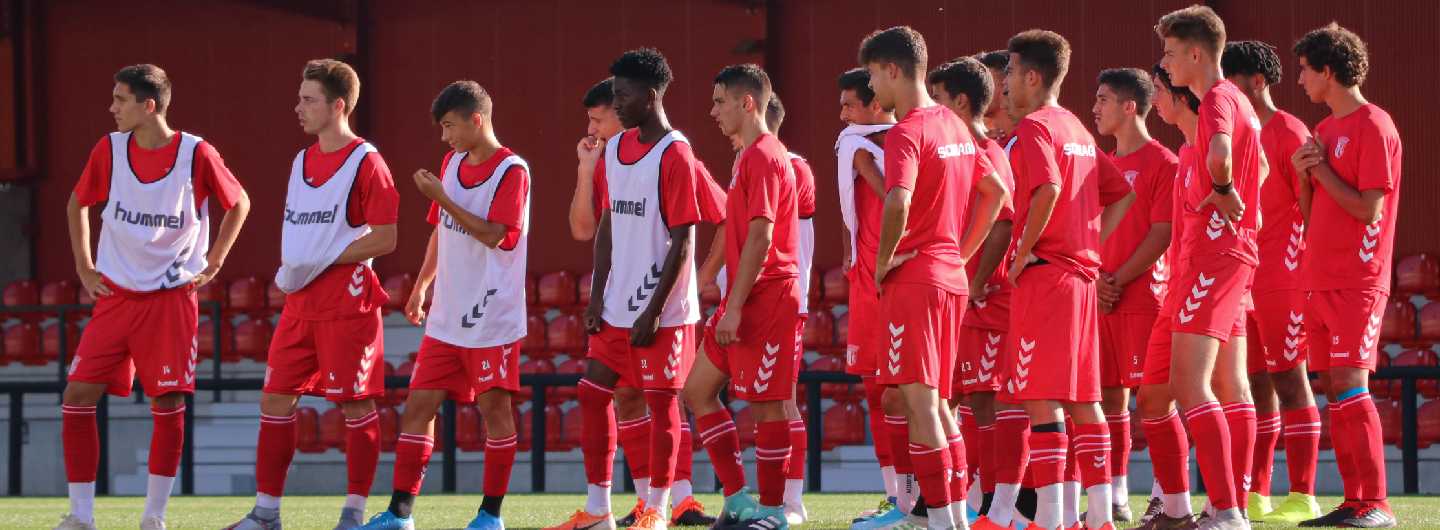 Rascunho automático 1010