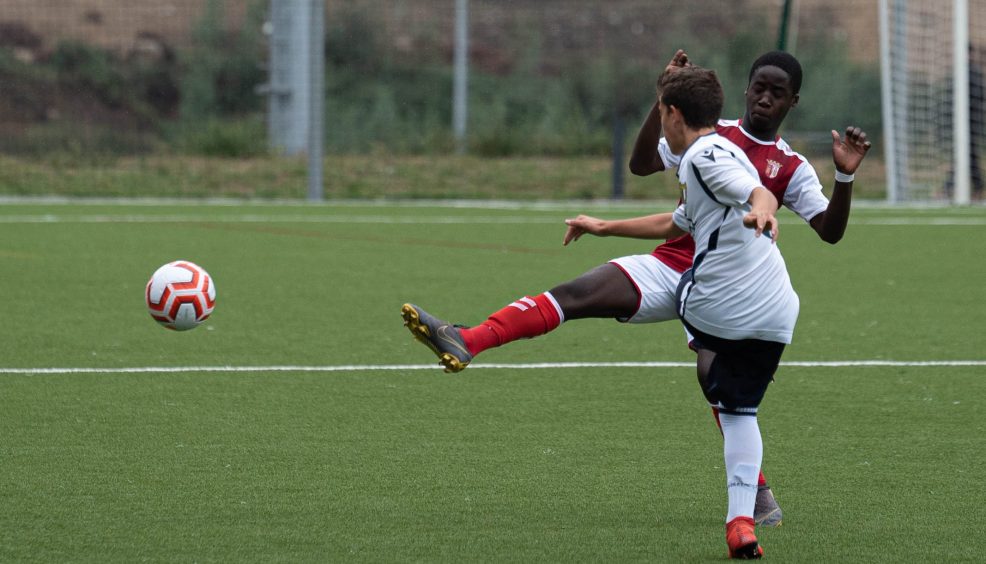 Rascunho automático 1321