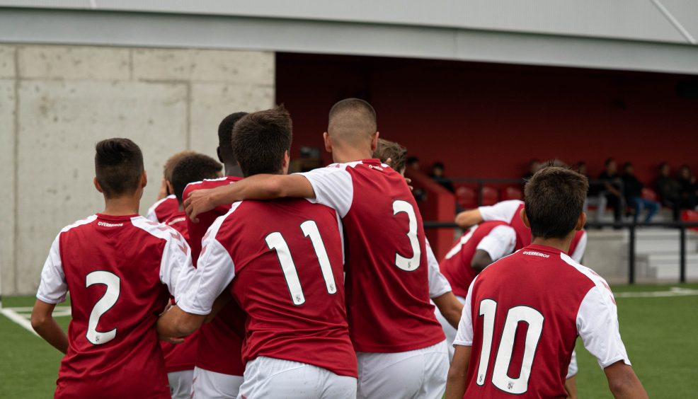 Rascunho automático 1324