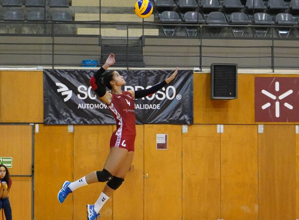 Rascunho automático 1369