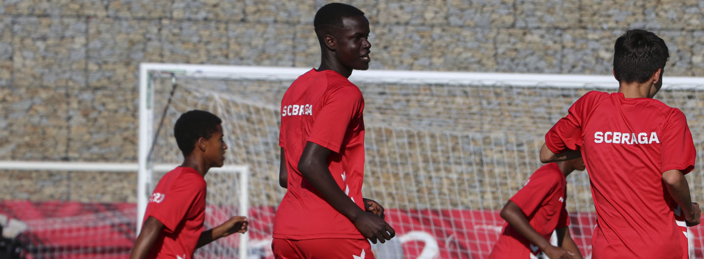 Rascunho automático 1269