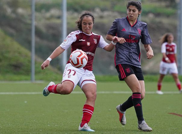 Rascunho automático 1494