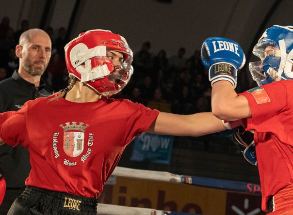 Rascunho automático 1742