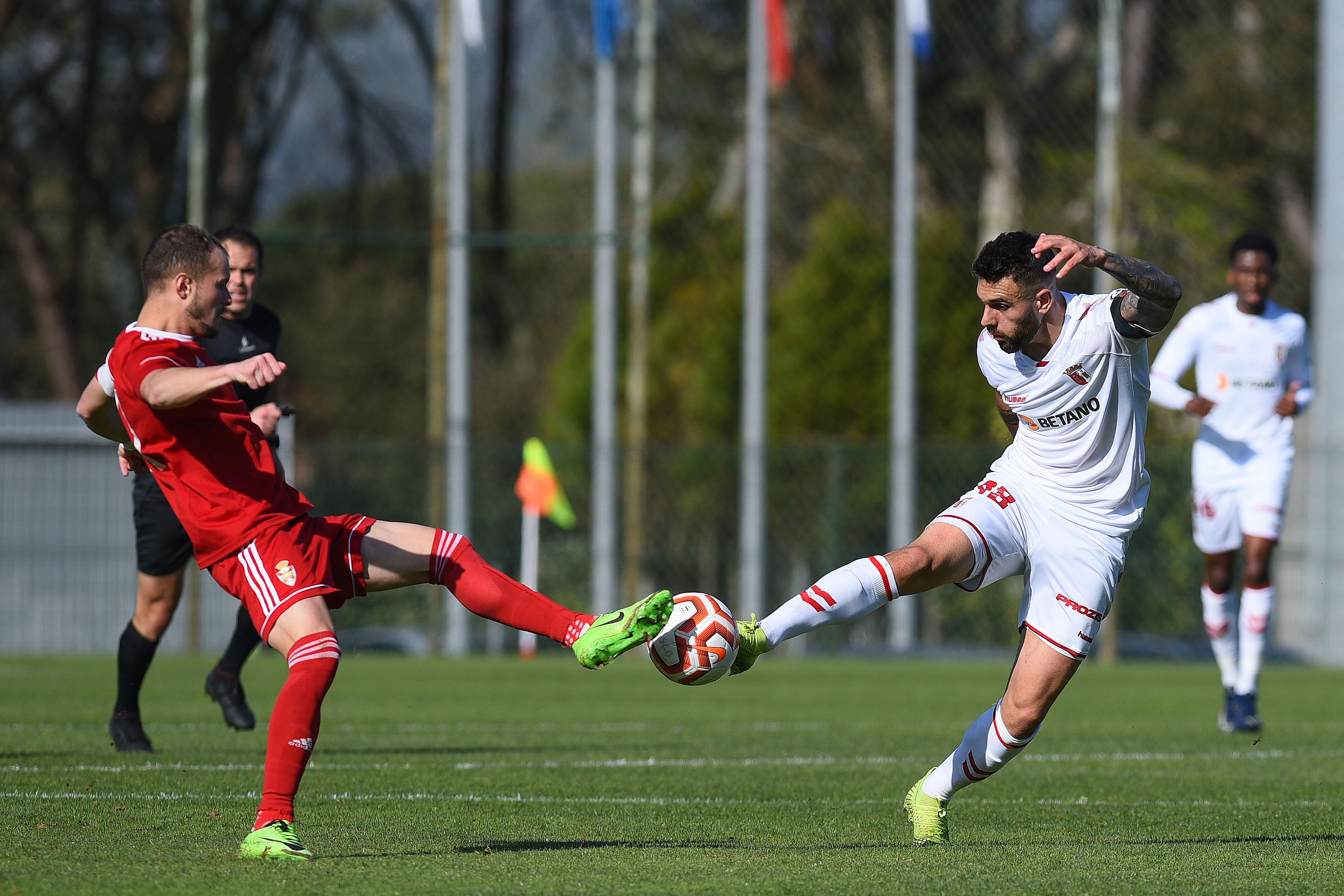 Rascunho automático 2319