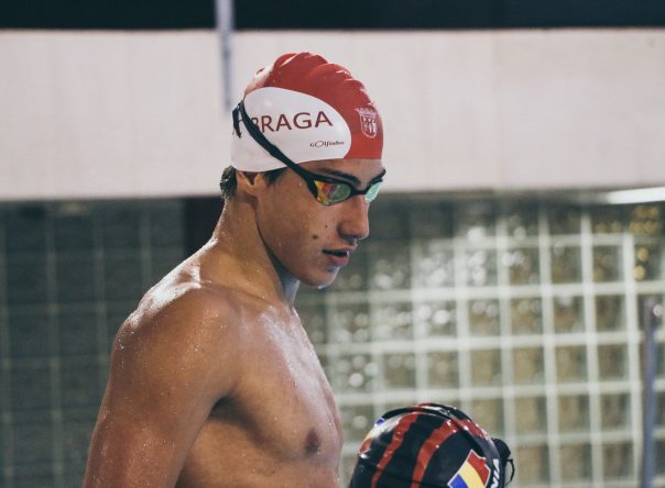 Rascunho automático 2377