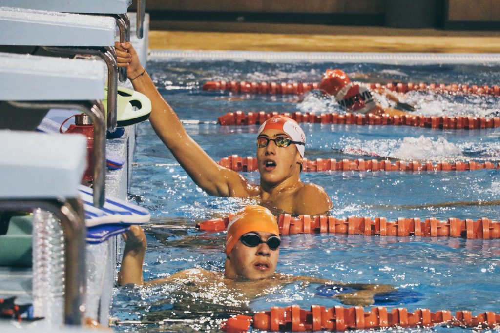 Rascunho automático 2376