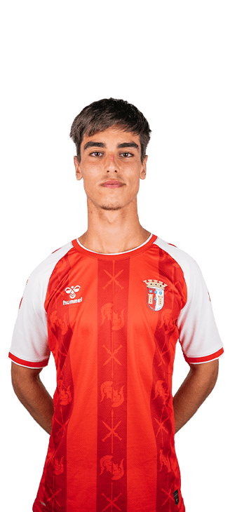 Rodrigo Augusto Ribeiro Pinto da Silva